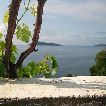 Hotel Villa Orsa Skiathos Town Luaran gambar