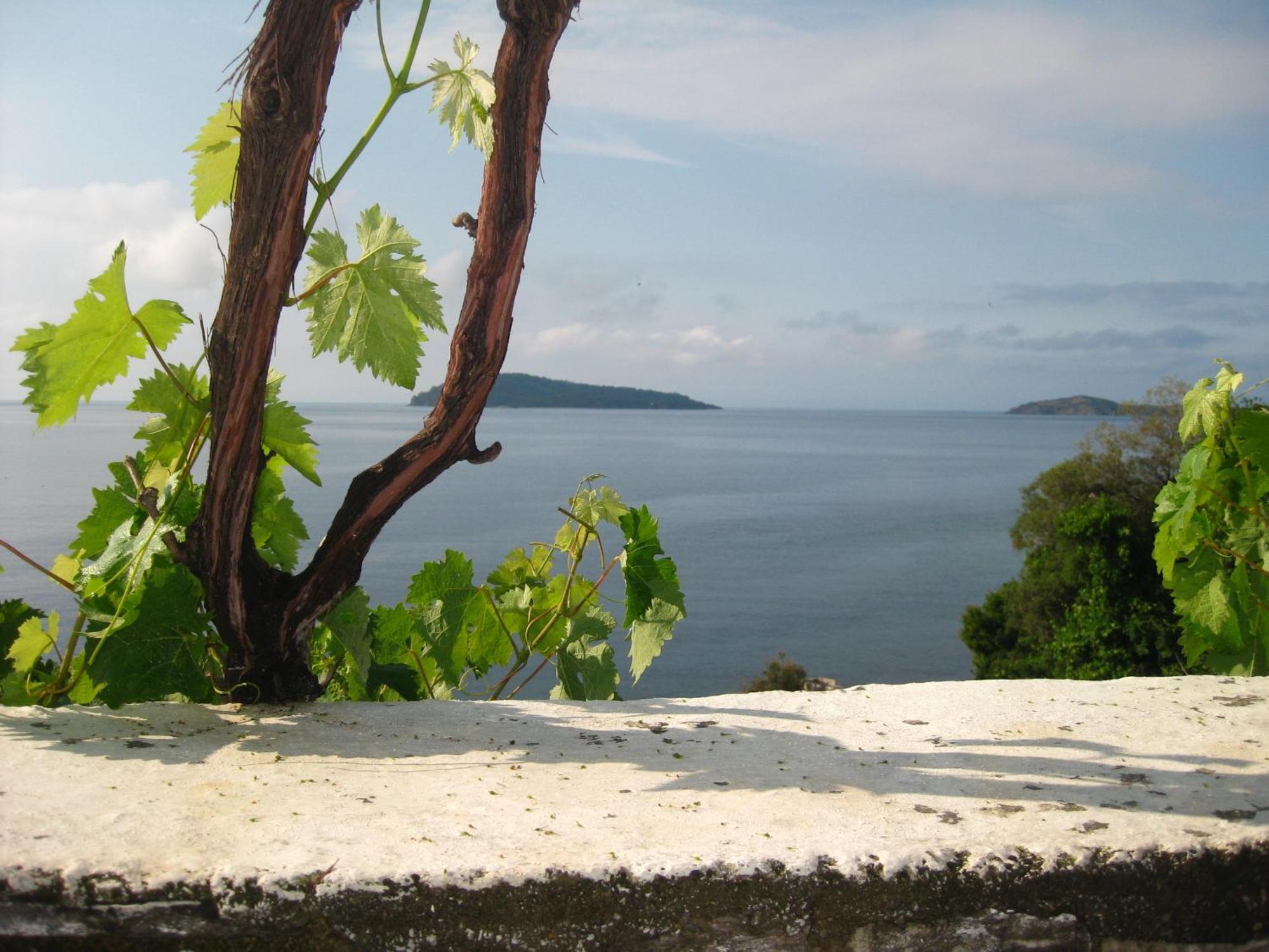 Hotel Villa Orsa Skiathos Town Luaran gambar